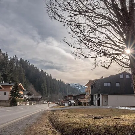 Appartement Alte Bildhauerei