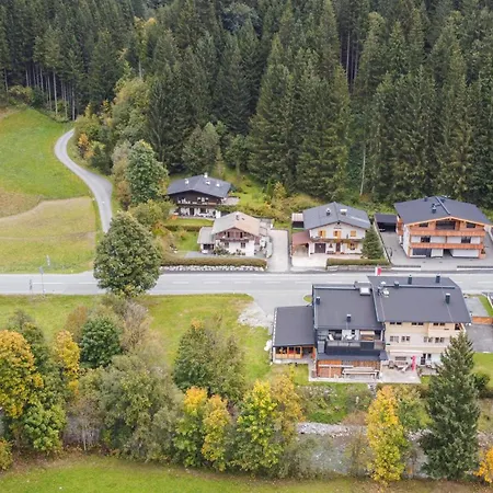 Apartment Alte Bildhauerei Aurach bei Kitzbuehel